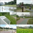 사도펌프장 | 안양 안양천변-만안교 덕천교