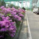 일신골프연습장 이미지