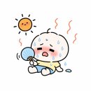 타이인플레이트 | 한양대 근처 혼밥하기 좋은 타이인플레이트 후기｜쌀국수 가성비 괜찮음