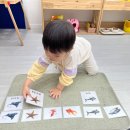 스콜라몬테소리양산덕계점 | 스콜라몬테소리 양산서창덕계점