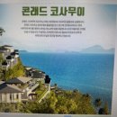 다이렉트 팜
