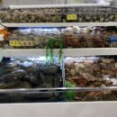 뱃놈과 백정 이미지