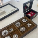 라스텔라 이미지