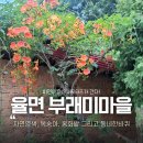 이천시장애인자립생활센터 | 서포터즈 | 율면 부래미마을 석산리 동네 구경