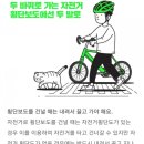 삼천리자전거 횡단보도 이미지