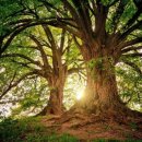 경호자동차정비 이미지