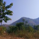 달맞이동산지구 이미지