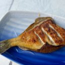 달리는수산 | 삼척 횟집 추천 후회없던 성준수산 후기