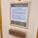 청풍리조트사우나 이미지
