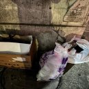 내 건강을 지키는 약과 생활 이미지