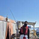 인어좌대 이미지