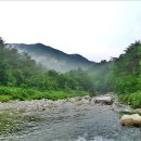 숲속의 계곡 이미지