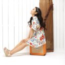 가야금(저녁) 이미지