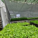 불암농장 이미지