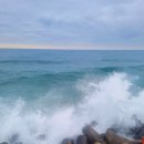 초록마을 강릉유천점 | 강릉 사근진해변 내돈내산맛집 쾌적한 오션뷰 짬뽕순두부 초당순두부 유천가든 강릉직영점