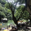 두레가든 이미지