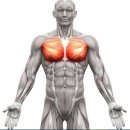 DS휘트니스센터 용운점 이미지