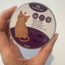 CM 동물병원 | 고양이랑 비행기 타고 유럽가기 (준비물 및 대한항공 반려동물 동반 신청방법)