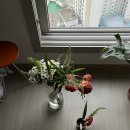 11. 대구 웨딩촬영 녹트 스튜디오 준비부터 후기 / 드레스 턱시도 간식 소품 추천 부케 등