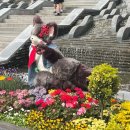 호수대중목욕탕 이미지