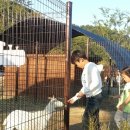 대가야농촌문화체험특구 캠핑장 이미지