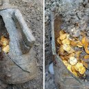 금화푸드 이미지