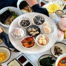 털보애견 네이버블로그