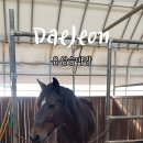 유성승마장 이미지