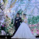 제이더블유웨딩컨벤션뷔페 | [전주 웨딩홀] 알펜시아 웨딩컨벤션 하객 후기 (뷔페, 불편했던 점)