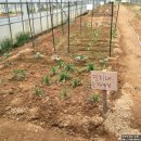 민지네 농장 이미지