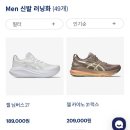 신정아식스