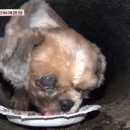 상봉농장 이미지