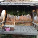 행정사 사무소 래인 이미지