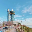 25년 6월8일 ‘전남 고흥 애도 쑥섬&amp;나로호 전망대’ 예약해주세요😉 이미지