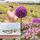 아꼬아체험농장