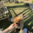 해녀작업장 | 제주도 친환경 여행 지소행 커피박줍서예 참여 솔직 후기 참여 방법