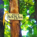 화왕산자연휴양림 이미지