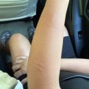 제이 메디컬 이미지