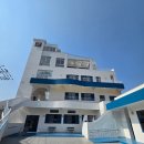 신지19-4 안길 | [강릉 기념품 간식] 강릉 여행선물로 좋은 '강릉샌드 본점' 강릉샌드 방파제빵 후기 보관방법