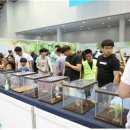 대구 펫 택시 이미지