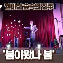 마술단매직게이트