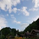 솔내음과 물소리 이미지