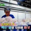 현우농장 이미지