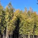 대한목장 이미지