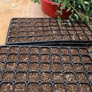 하길로 L 이미지