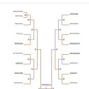 용인대 도당 유도체육관 이미지