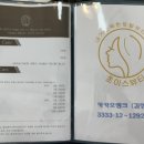 초이스샵 이미지