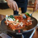 춘기목장 이미지