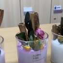 라탄&마크라메 생활공예 이미지