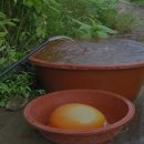 물한모금 - 유성구 복용동로 35 | 물한모금